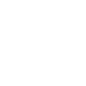 digiskills india logo